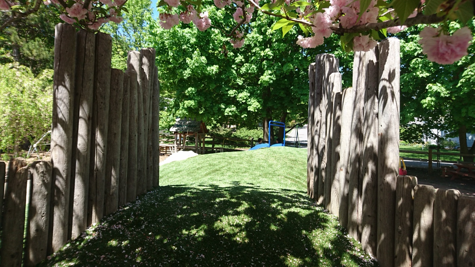 Wooden ramp leading up to the hill on the LPC playground in summer